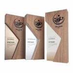 Ξύλινο Έπαθλο 5